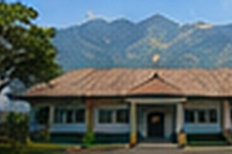 Pendidikan