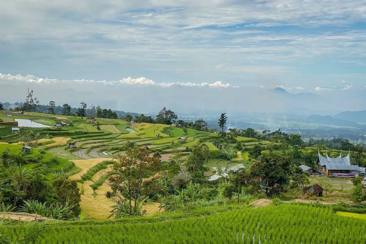 Cerita dari Pandan Indah